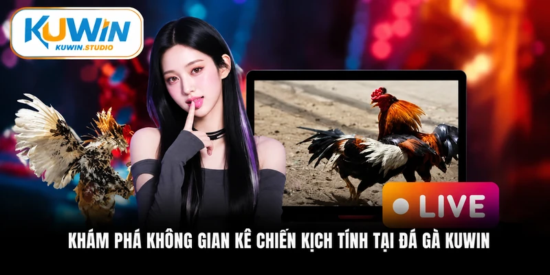 Khám phá không gian kê chiến kịch tính tại đá gà Kuwin