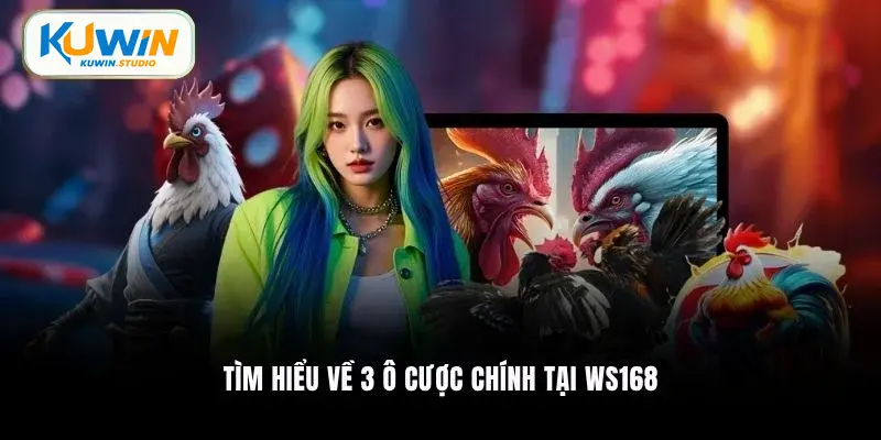 Tìm hiểu về 3 ô cược chính tại WS168